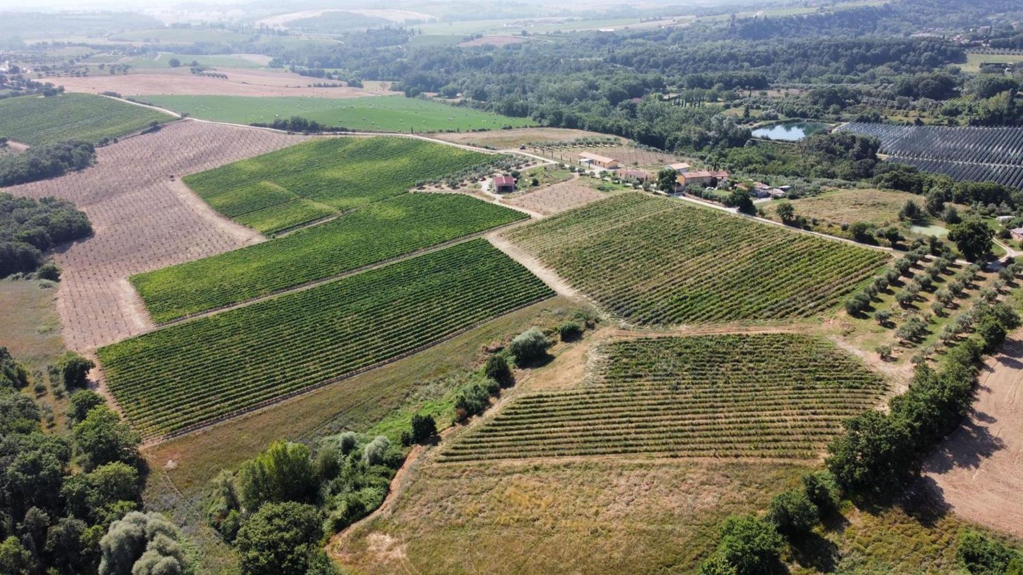 Agriturismo Podere Casa Al Vento Montepulciano Stazione エクステリア 写真