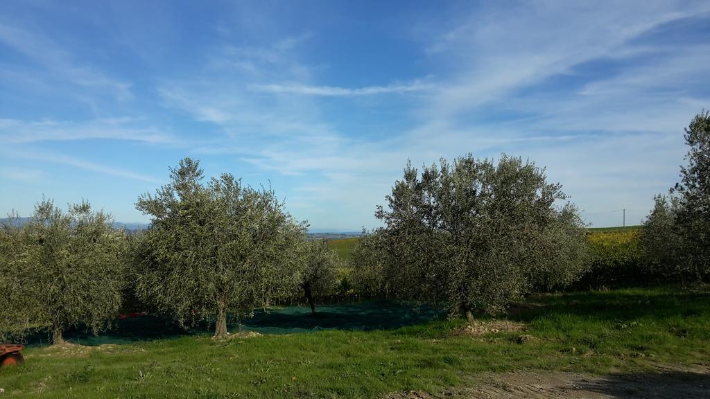 Agriturismo Podere Casa Al Vento Montepulciano Stazione エクステリア 写真