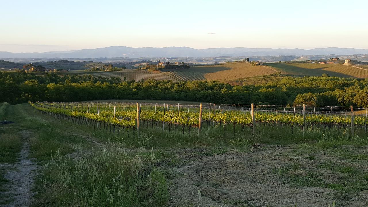 Agriturismo Podere Casa Al Vento Montepulciano Stazione エクステリア 写真