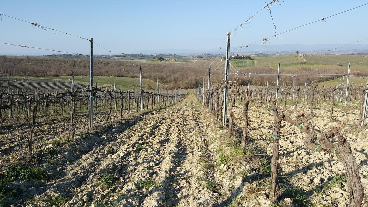 Agriturismo Podere Casa Al Vento Montepulciano Stazione エクステリア 写真