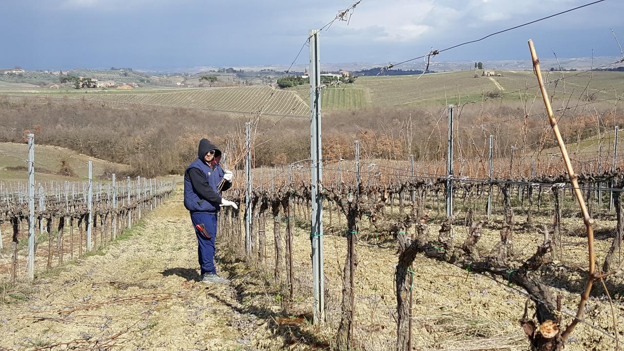 Agriturismo Podere Casa Al Vento Montepulciano Stazione エクステリア 写真